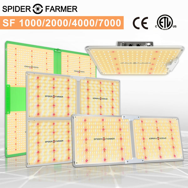 LED Grow Light