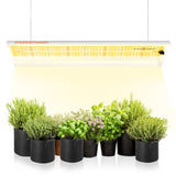 Spider Farmer SF300 33W LED Grow Light For Veg(Only US Stock) - Spider Farmer LED