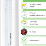 Spider Farmer SF300 33W LED Grow Light For Veg(Only US Stock) - Spider Farmer LED
