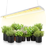 Spider Farmer SF600 74W LED Grow Light For Veg(Only US stock) - Spider Farmer LED