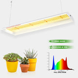 Spider Farmer SF300 33W LED Grow Light For Veg(Only US Stock) - Spider Farmer LED