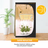 SF2000 LED Grow Light Full Spectrum+2' X 4' Grow Tent Kits Carbon Filter Indoor