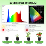 Spider Farmer SF300 33W LED Grow Light For Veg(Only US Stock) - Spider Farmer LED