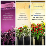 [2PCS] Spider Farmer SF2000 LED Grow Light With Dimmer Knob Full Spectrum Samsung Diodes QB